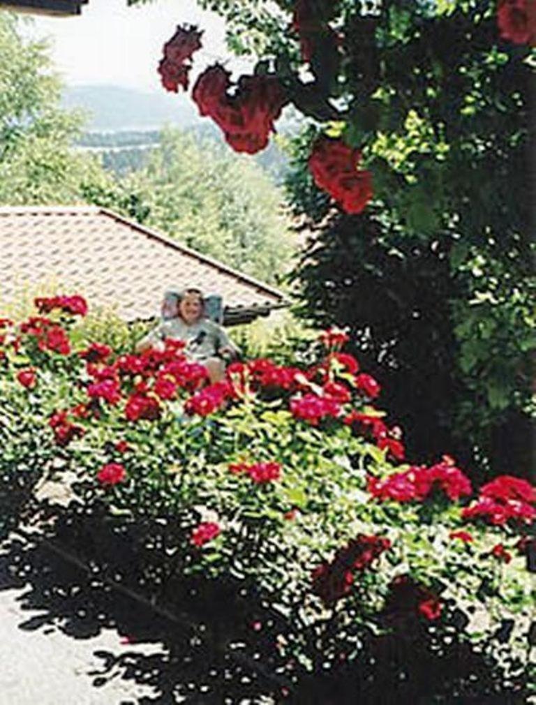 PrackenbachHaus Bergblick Bay. Wald公寓 外观 照片