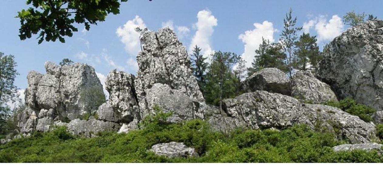 PrackenbachHaus Bergblick Bay. Wald公寓 外观 照片